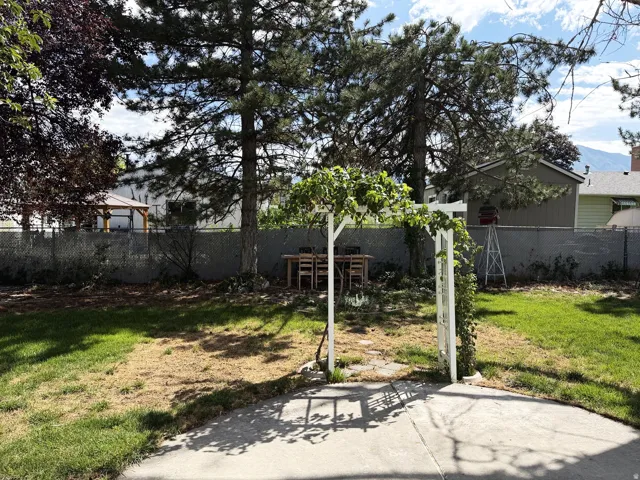 Expansive backyard featuring a concrete patio, mature trees, and a white pergola with climbing foliage