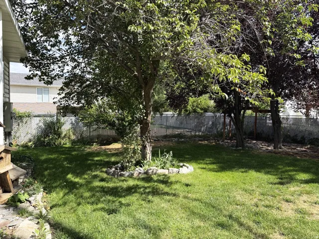 Lawn area with mature trees and a chain link fence