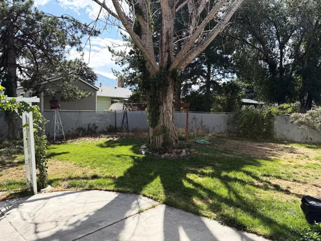 Paved patio area, mature tree, established lawn, chain link fencing