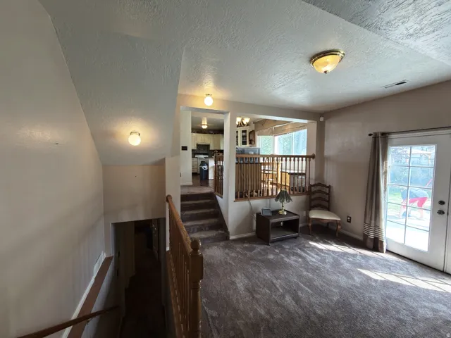 Carpeted living area with a glass-paned exterior door, wood-finish railing, and ceiling-mounted light fixtures