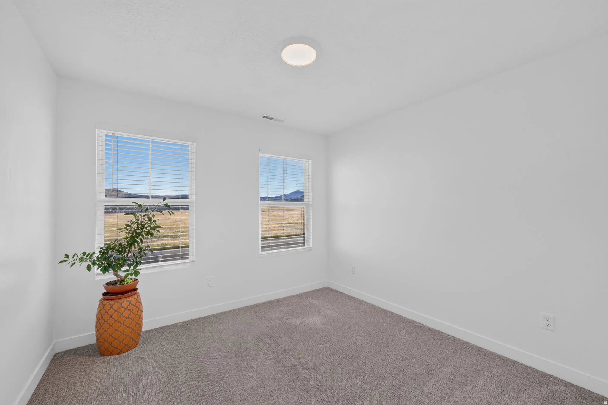 Carpeted flooring with white walls, two windows with blinds, and a flush mount ceiling light