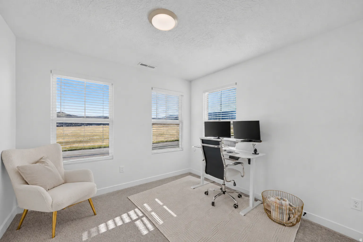 Flush mount ceiling light, light-colored carpeting, multiple windows with blinds, and white wall finishes