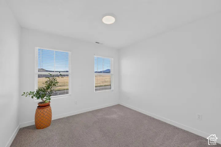 Carpeted flooring with white walls, two windows with blinds, and a flush mount ceiling light