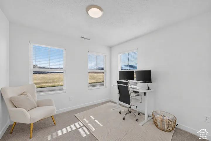 Flush mount ceiling light, light-colored carpeting, multiple windows with blinds, and white wall finishes