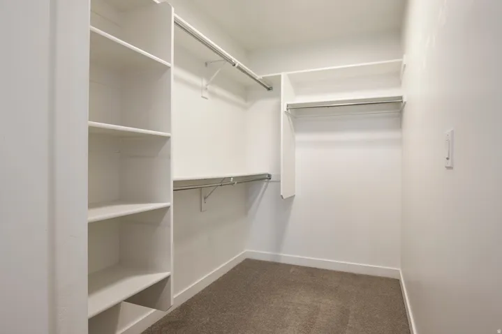 Walk-in closet featuring built-in shelving, multiple hanging rods, and carpet flooring