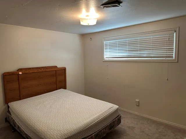 Carpeted flooring with a window featuring horizontal blinds and a flush mount ceiling light fixture