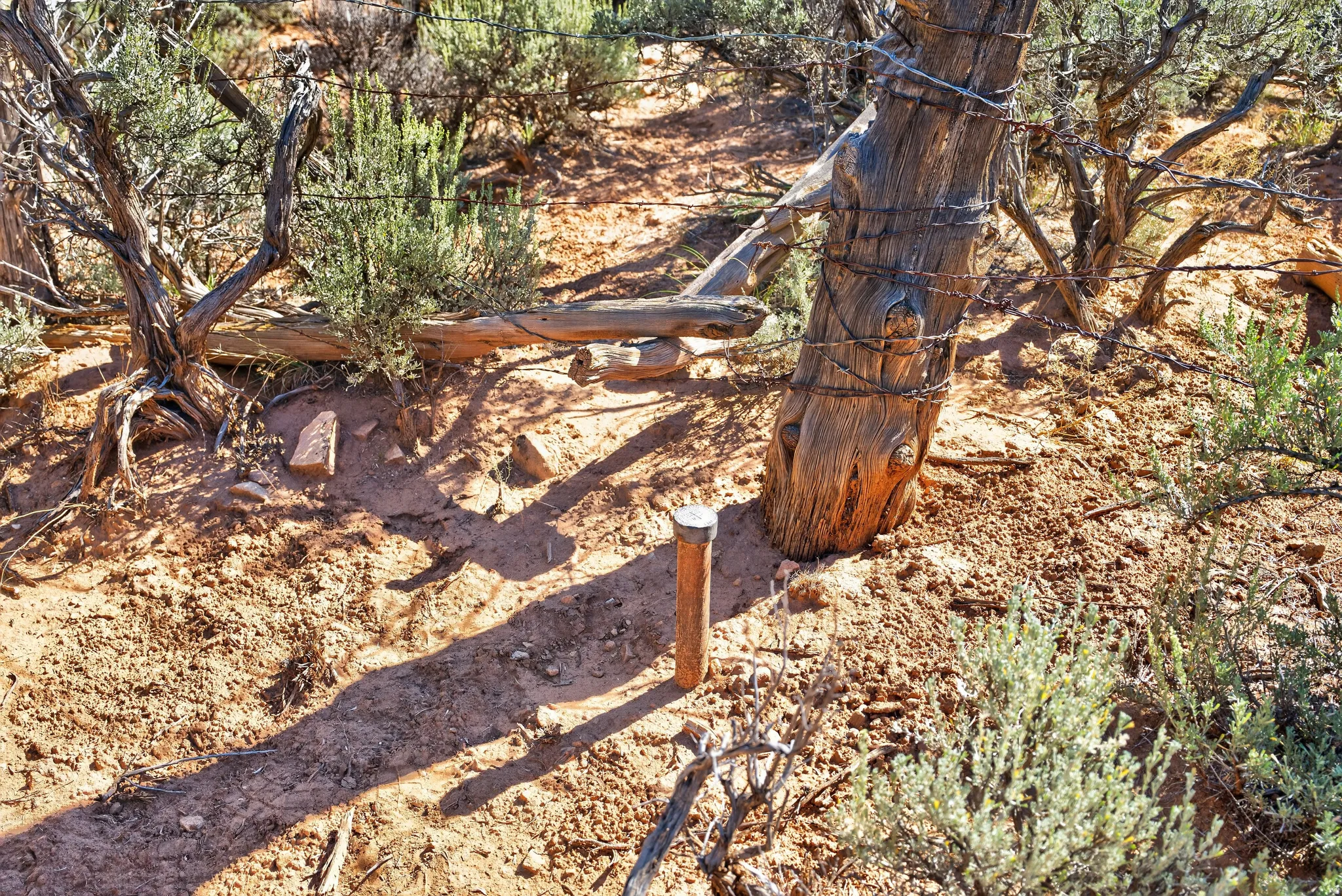 survery marker