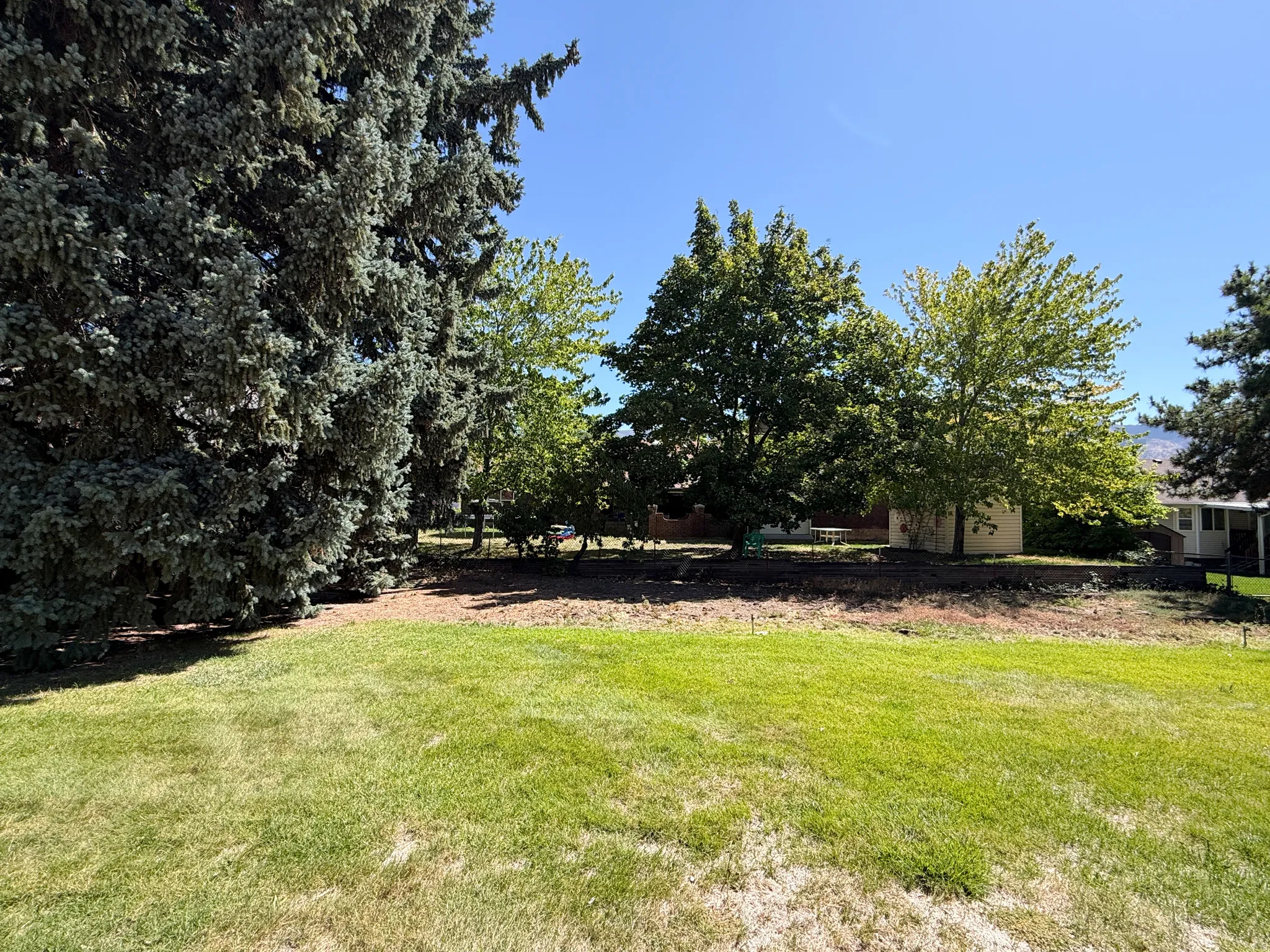 Back Yard/Mature Trees