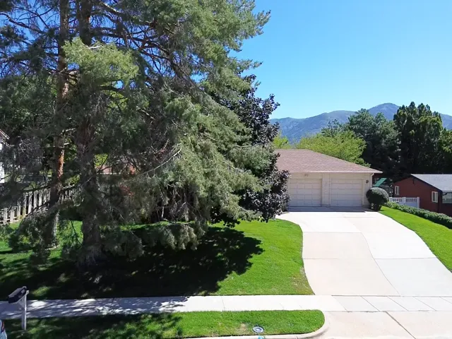 Drive Way/Mature Trees