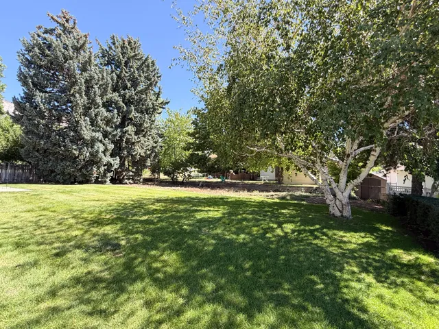 Back Yard/Mature Trees