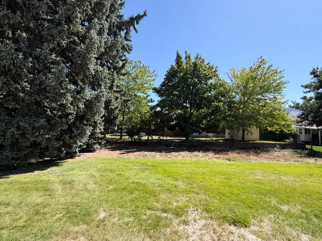 Back Yard/Mature Trees