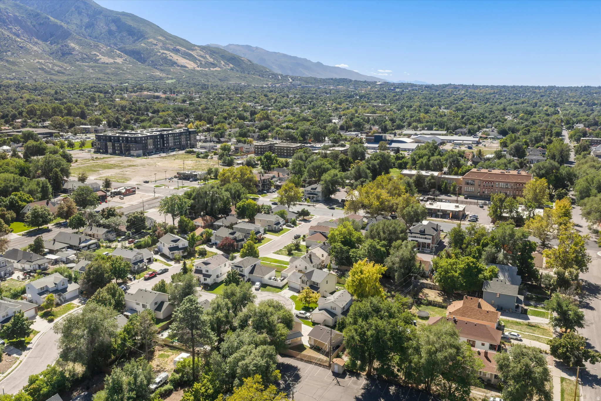 Expansive residential area with mature trees and a distant mountain range backdrop