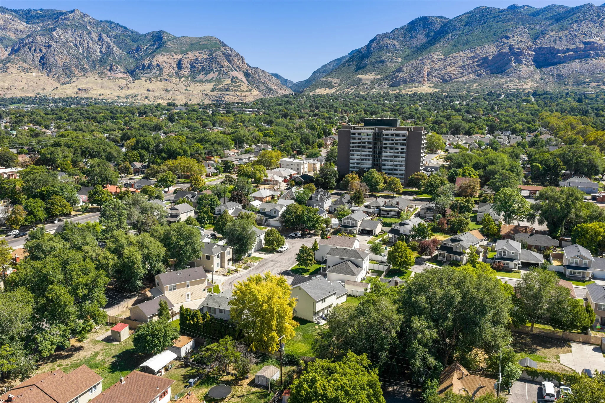 Expansive residential area featuring a diverse collection of homes, mature tree canopy, and distant mountainous terrain