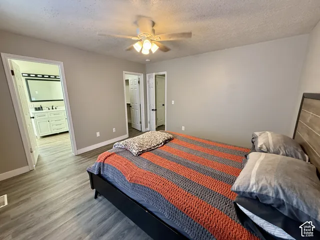 Wood-finish flooring throughout, ceiling fan with integrated lighting, and neutral wall tones