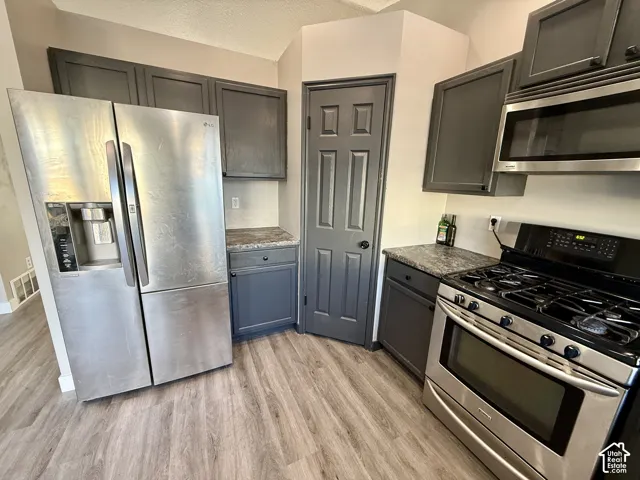 Kitchen featuring wood-finish flooring, dark cabinetry, and stainless steel appliances
