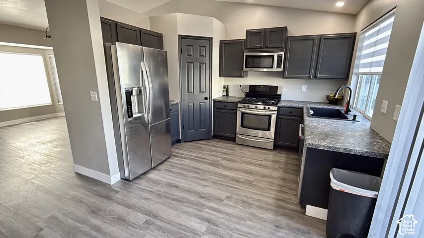 Kitchen featuring wood-finish flooring, stainless steel appliances, dark cabinetry, and a black sink