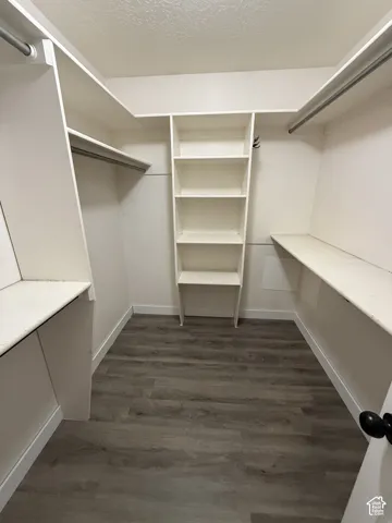 Walk-in closet featuring built-in shelving, hanging rods, and wood-finish flooring