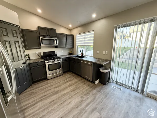 Modern kitchen featuring dark cabinetry, stainless steel appliances, wood-finish flooring, and a sliding glass door
