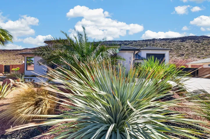 Desert-inspired landscaping featuring drought-tolerant plantings, a palm tree, and a paved driveway