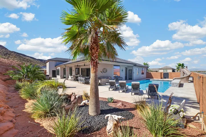 Exterior landscaping with a mature palm, a paved patio, a swimming pool, and a pool slide