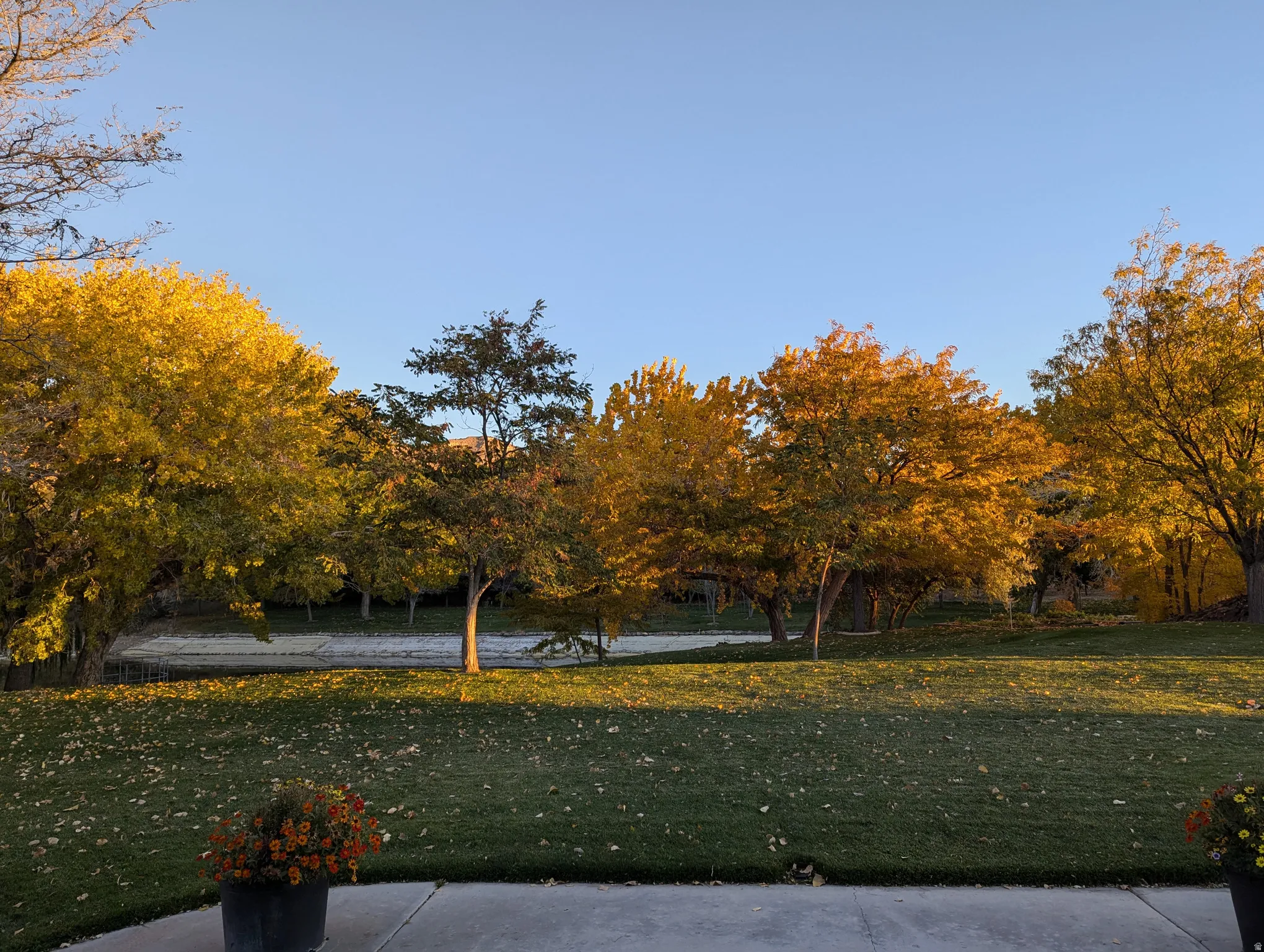 Manicured lawn with mature deciduous trees and a concrete patio
