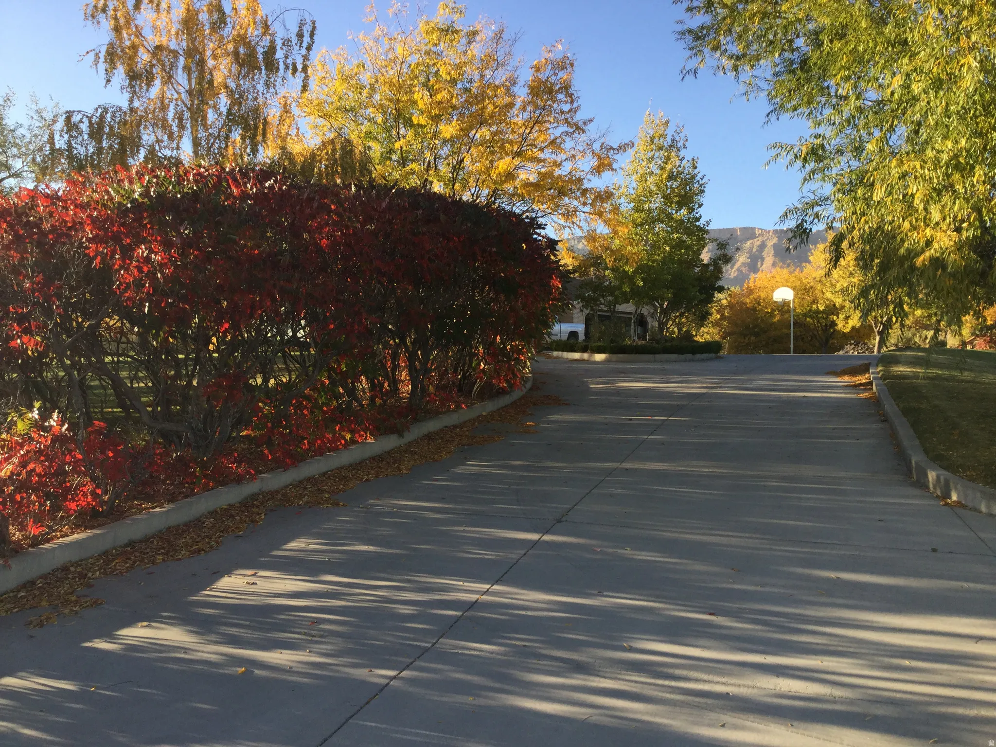Paved driveway with concrete curbing, bordered by mature deciduous trees and shrubs