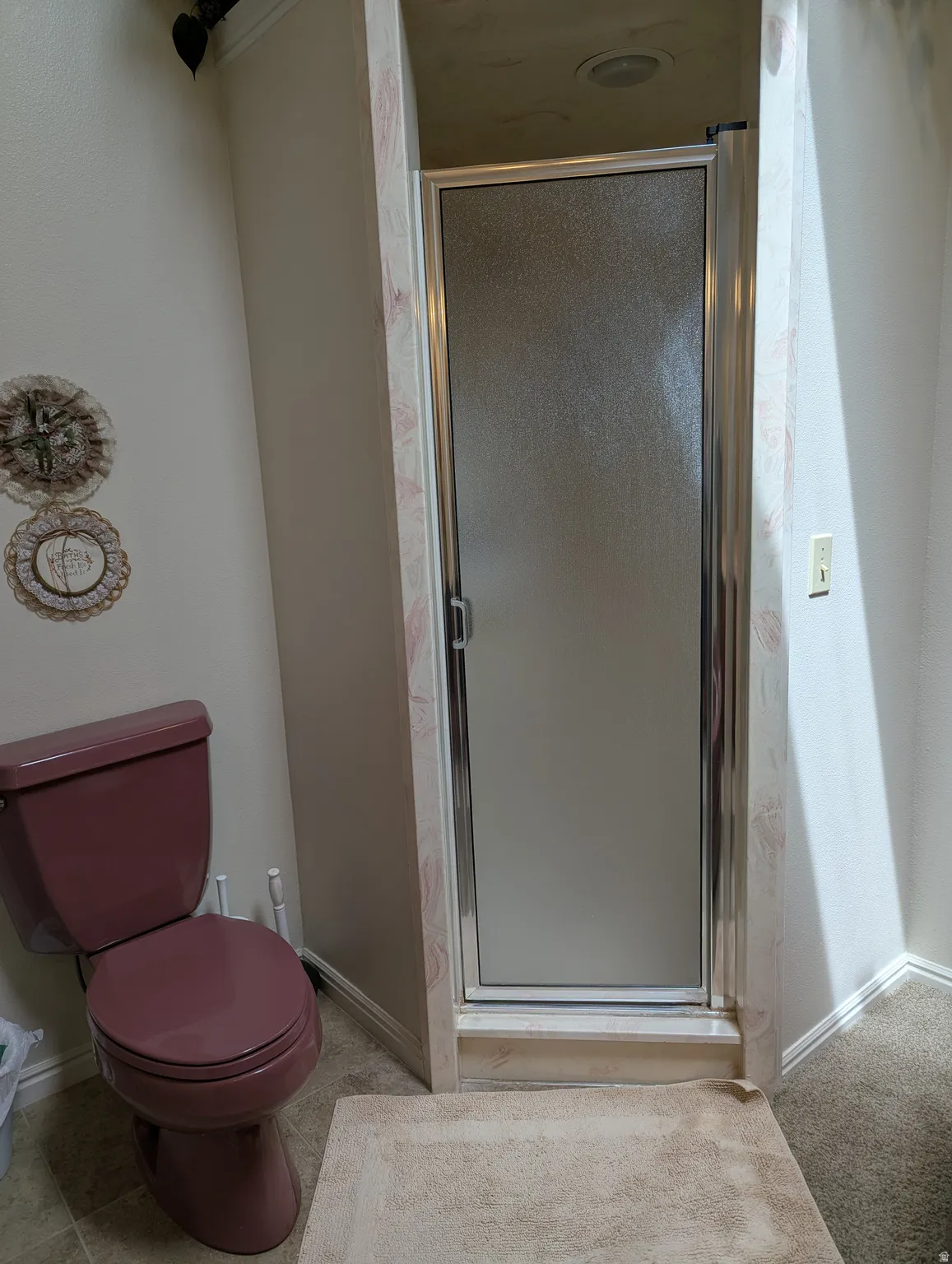 Frosted glass shower enclosure with chrome framing