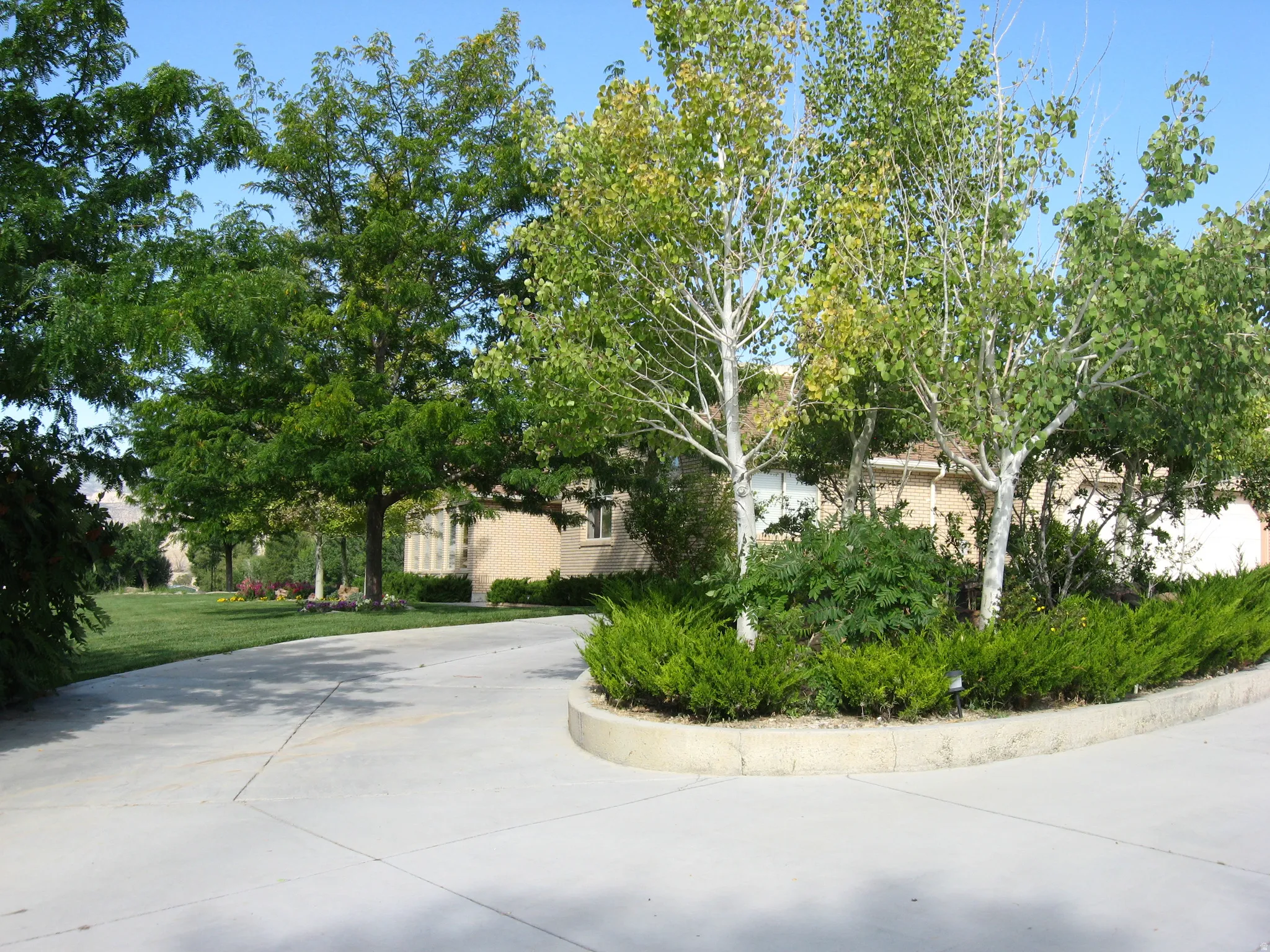 Paved driveway with a curved concrete planter, mature trees, and shrubs