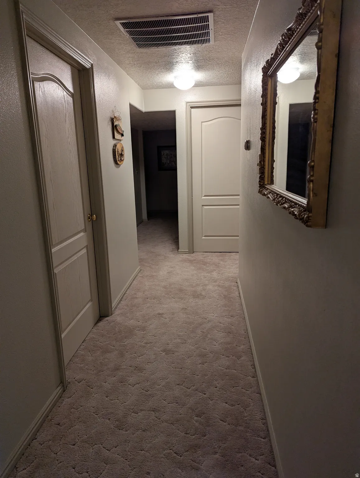 Textured carpet flooring, neutral wall paint, ceiling-mounted light fixtures, white paneled doors