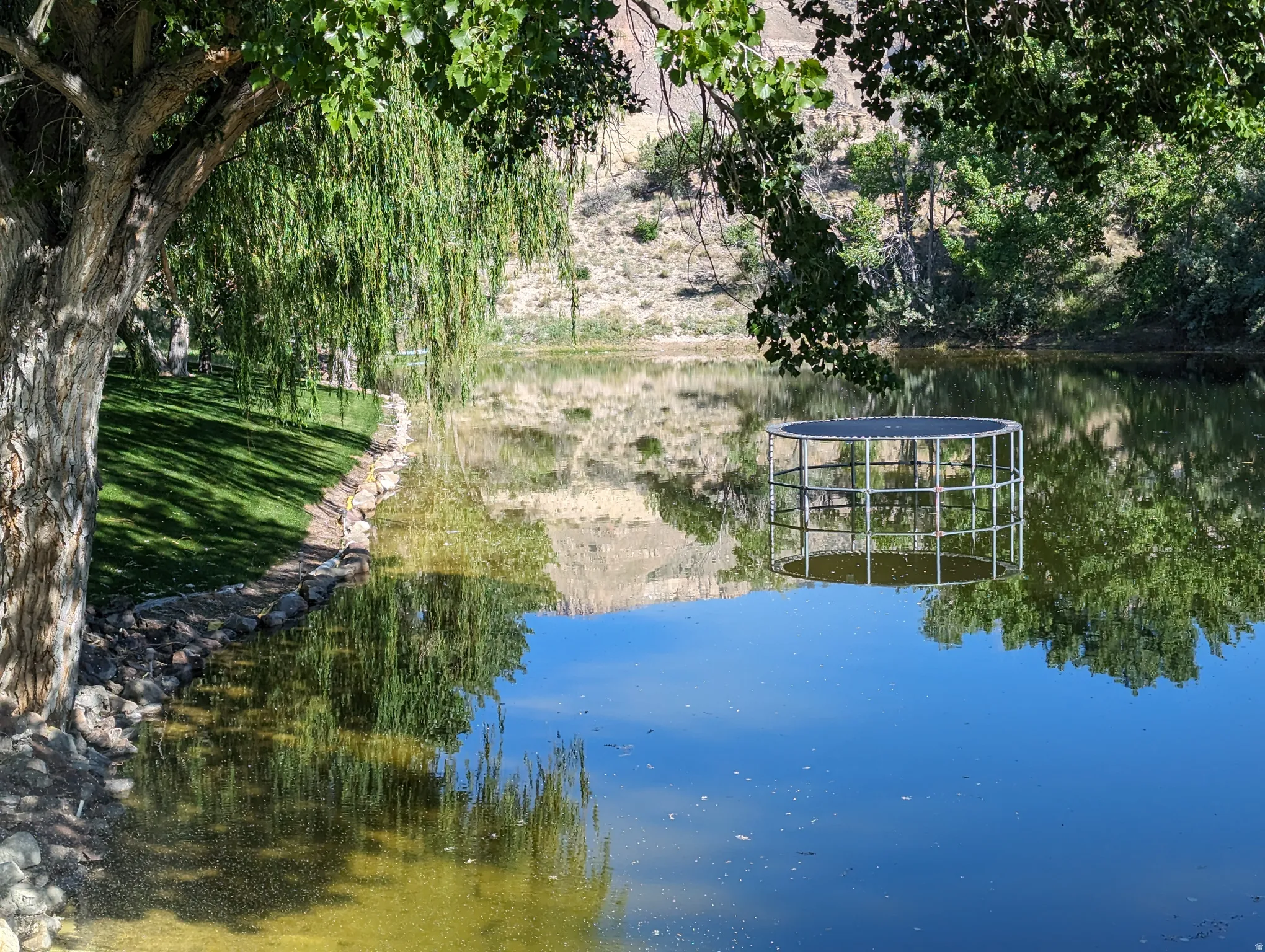 Lush green lawn bordering a tranquil pond, featuring mature trees and a rocky shoreline