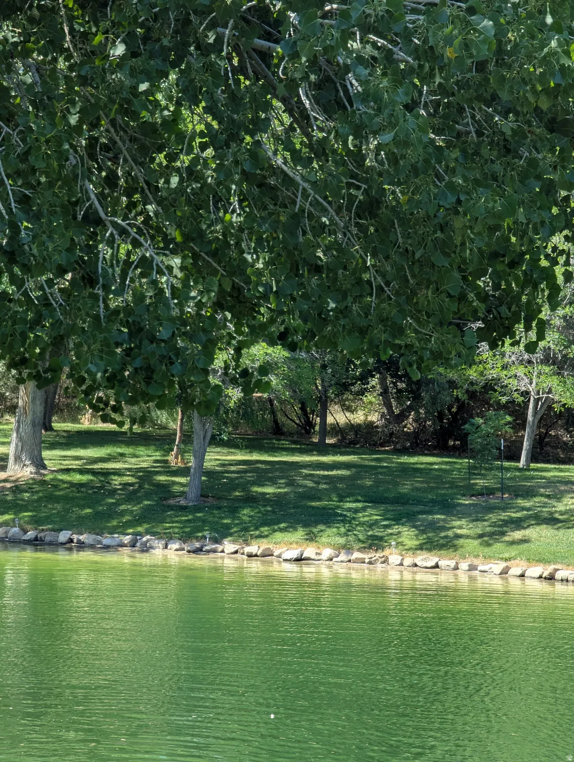 Lakeside setting with a grassy bank and mature trees