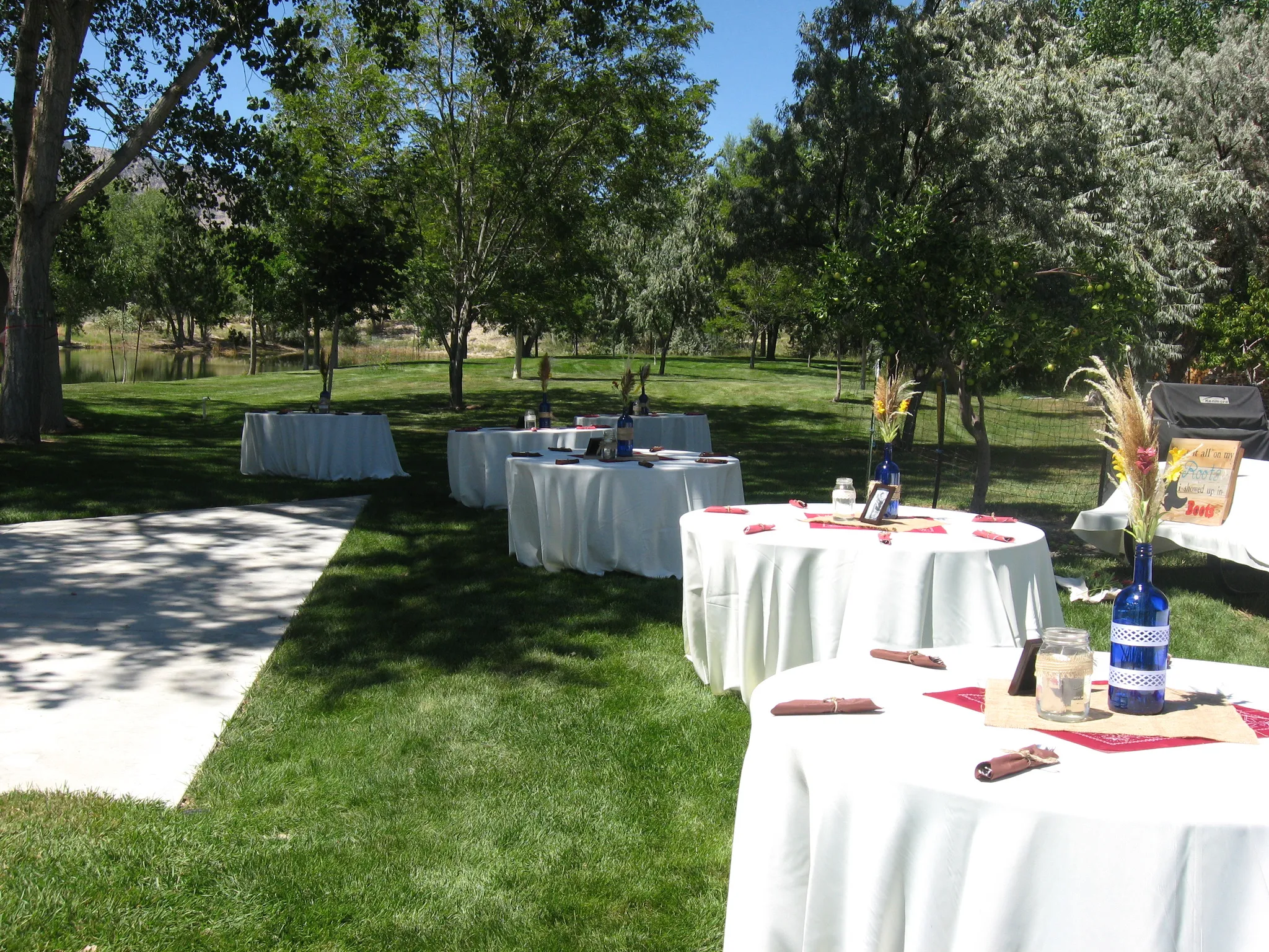 Expansive lawn area with mature trees and a concrete patio