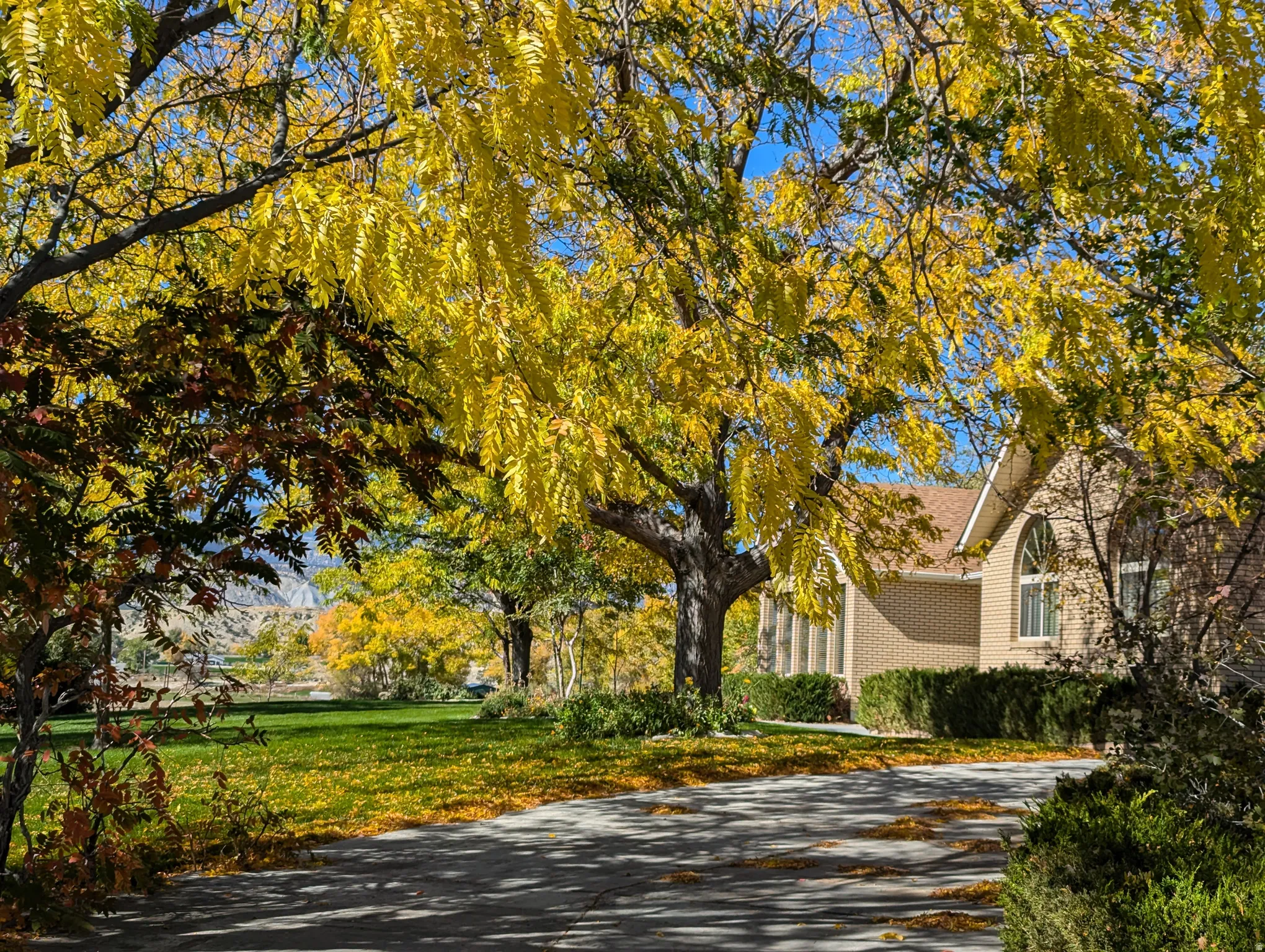 Brick exterior, arched window, paved driveway, mature trees, manicured lawn
