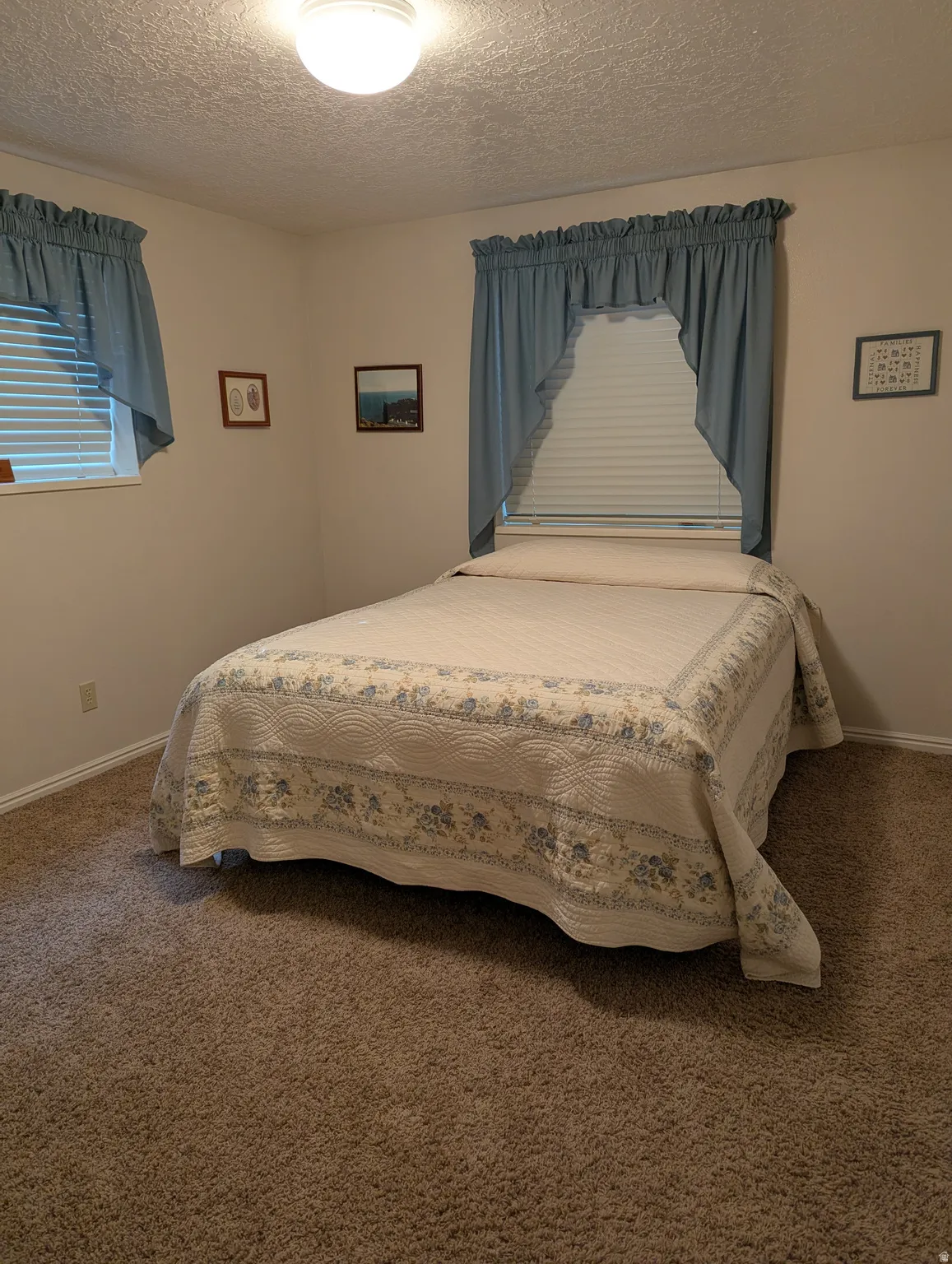 Carpeted flooring, recessed window, and flush-mount ceiling light fixture