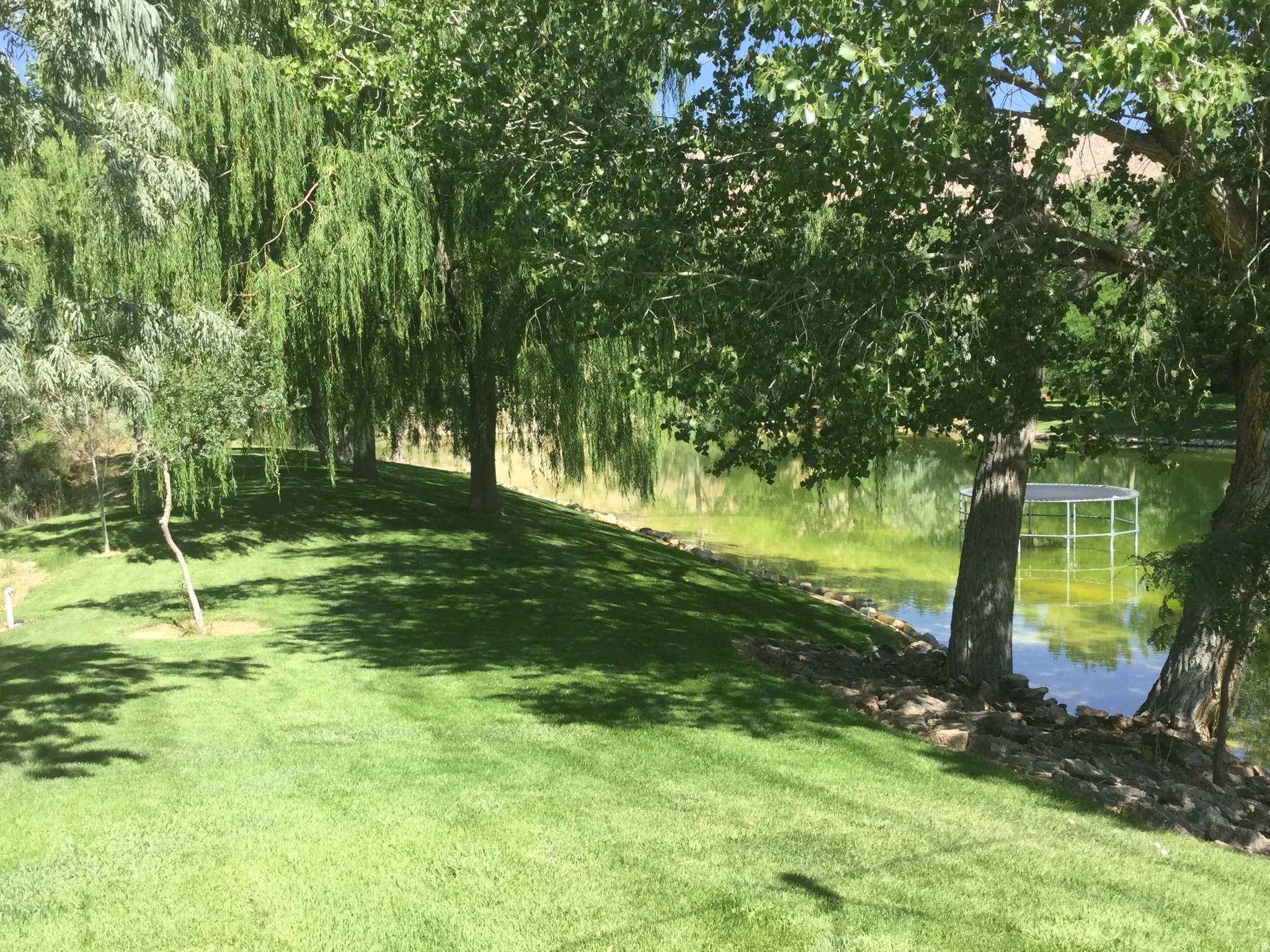 Lush green lawn with mature trees and a tranquil pond, featuring a floating dock