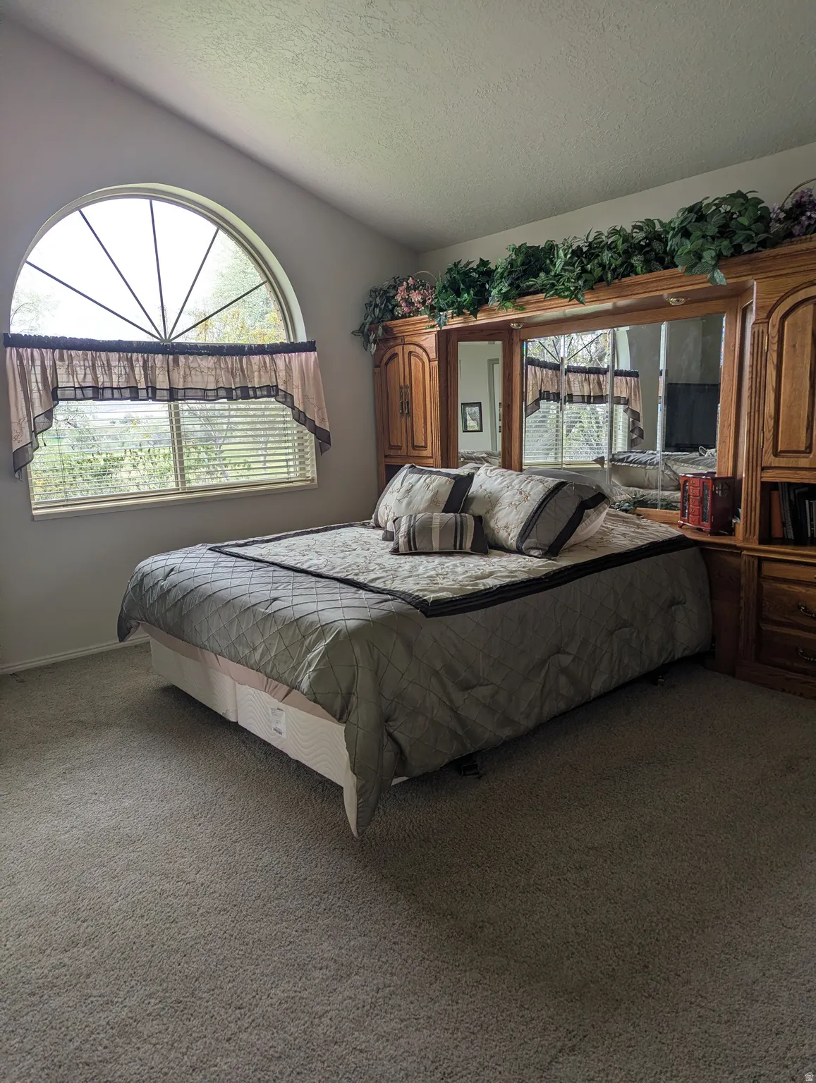 Arch-top window with horizontal blinds, built-in wooden cabinetry with mirrored panels, and wall-to-wall carpeting