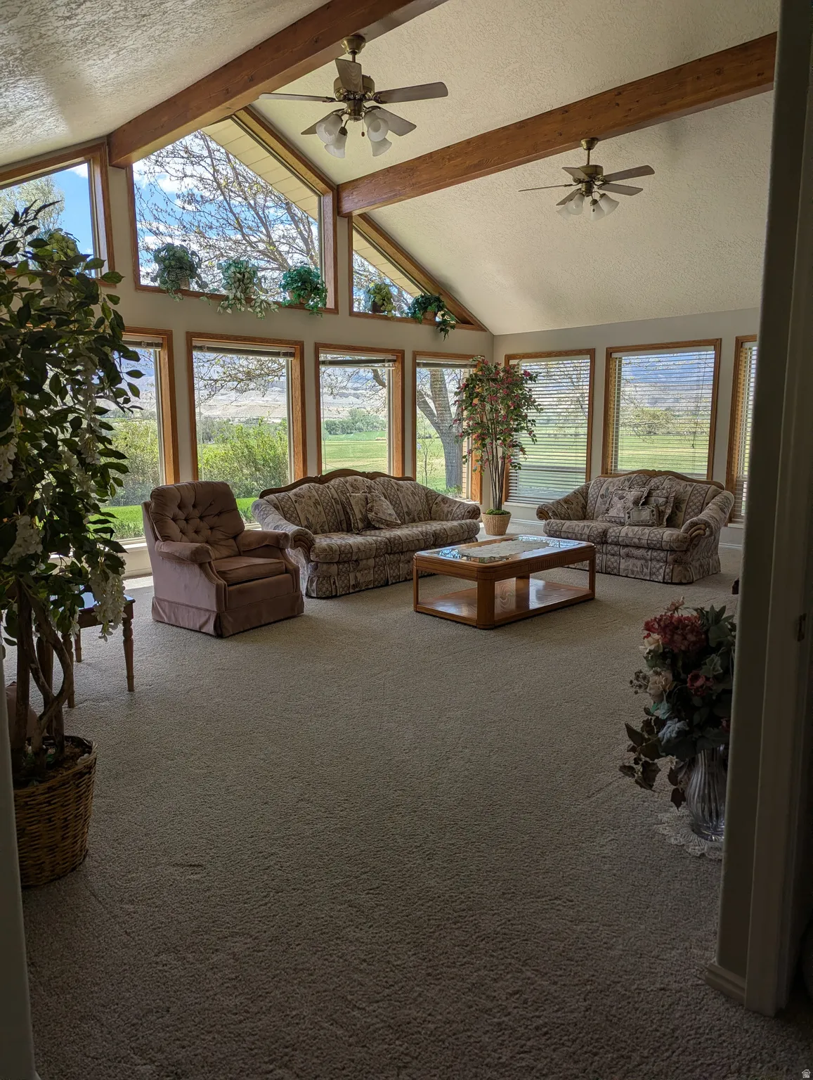 Vaulted ceiling with exposed wood beams