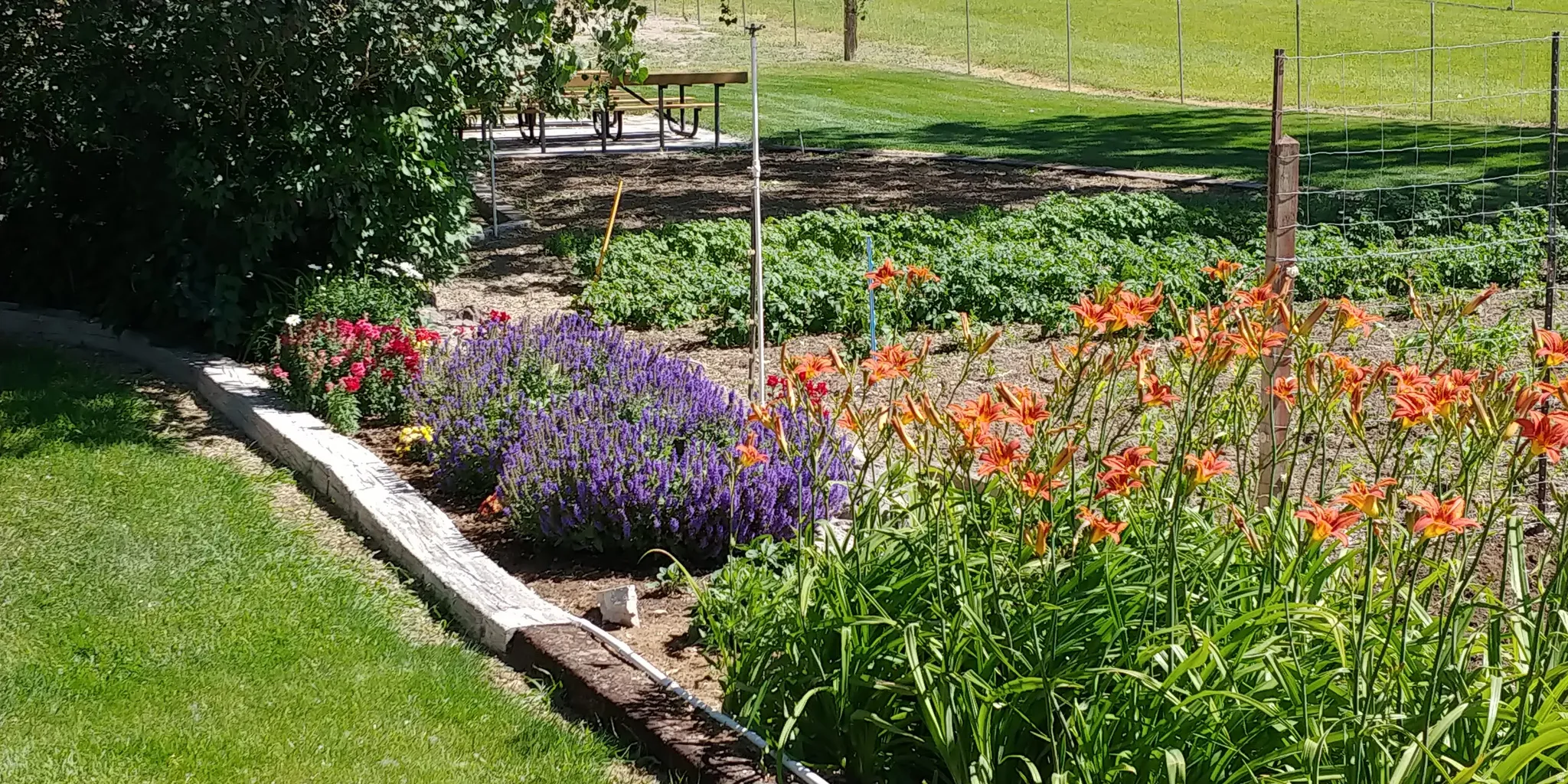 Established garden beds featuring a variety of plantings, timber-edged landscaping, and a manicured lawn
