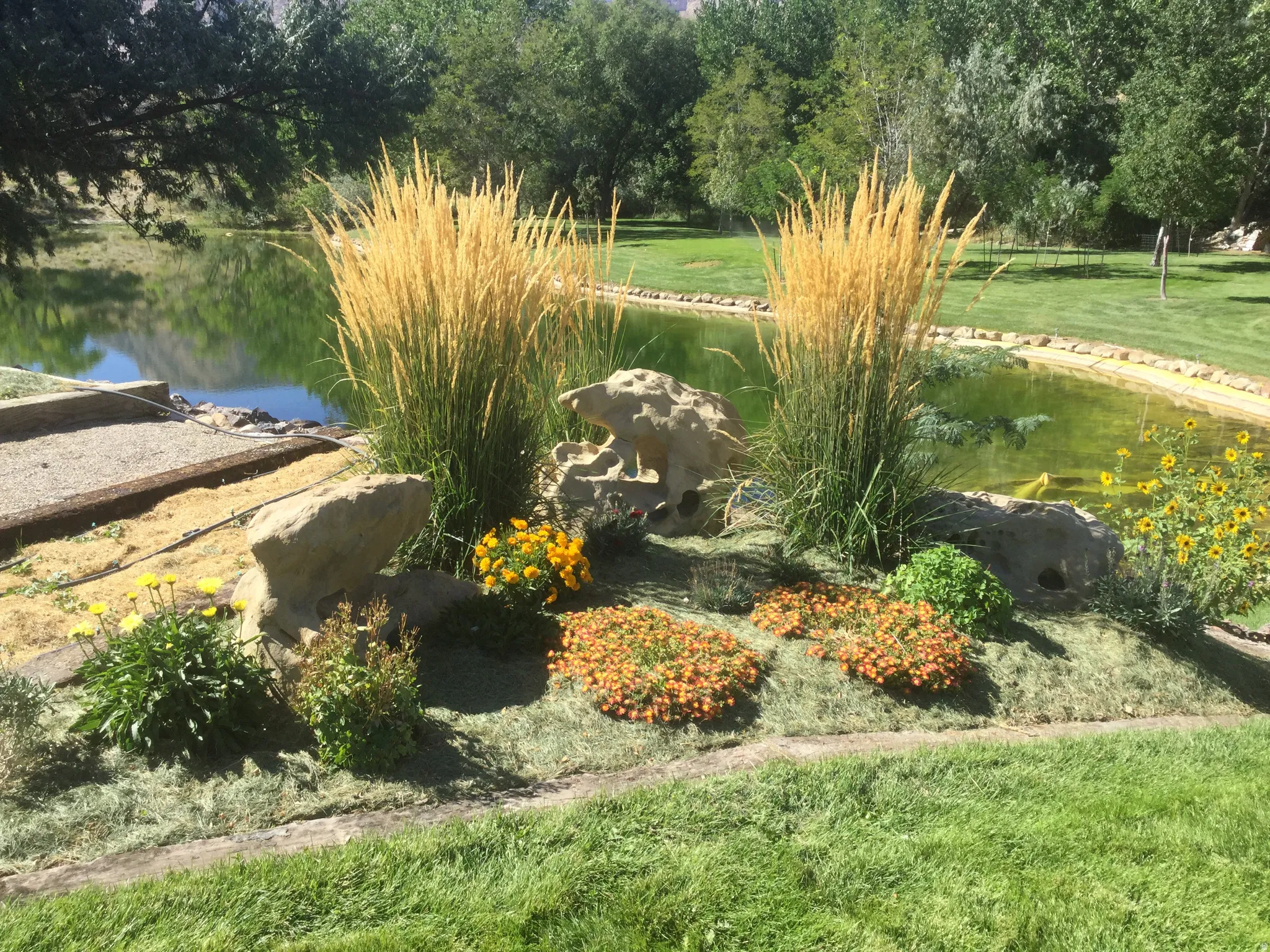 Expansive pond with surrounding landscaping, featuring mature trees and a manicured lawn