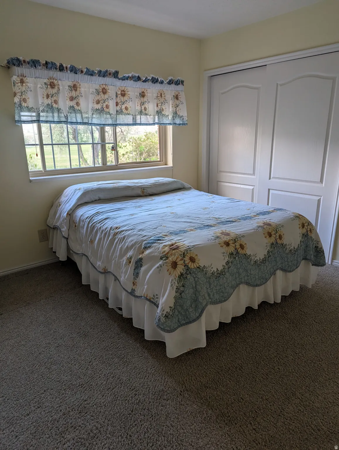 Window with exterior scenery, carpeted flooring, and sliding closet doors