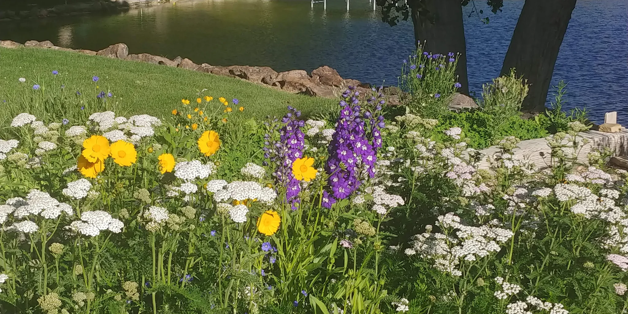 Lush landscaping featuring vibrant perennial flowers