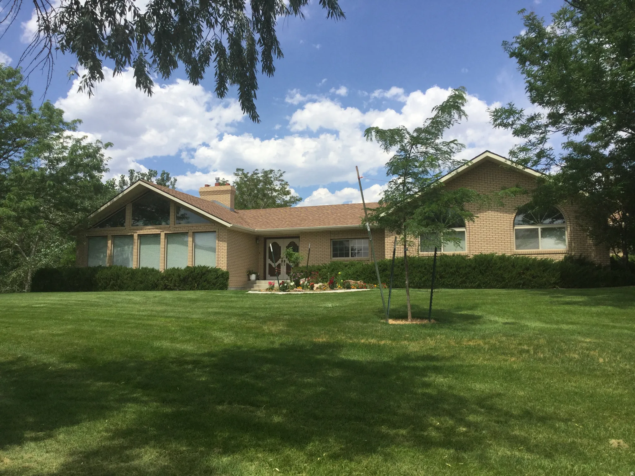 Expansive green lawn with mature trees and shrubbery