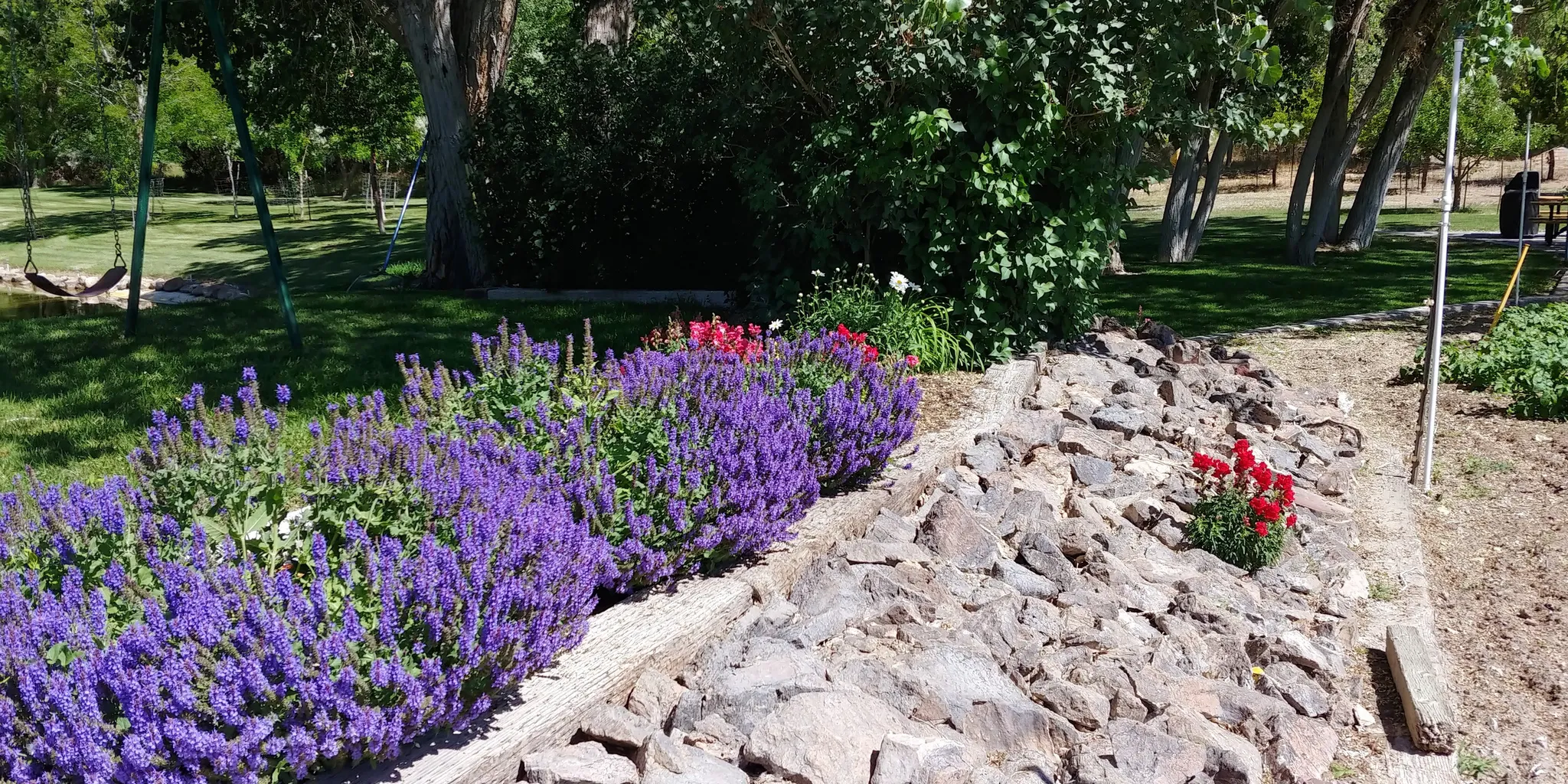 Manicured landscaping featuring vibrant purple and red floral plantings, a rock garden, and a sprawling grassy area with mature trees