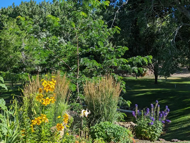 Landscaped garden beds with yellow and purple flowering plants