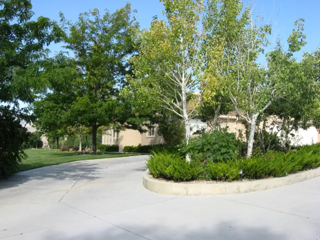 Paved driveway with a curved concrete planter, mature trees, and shrubs