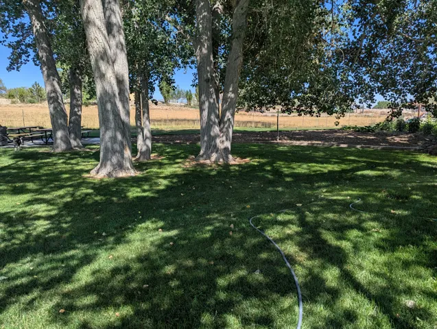 Manicured lawn with mature trees providing shade