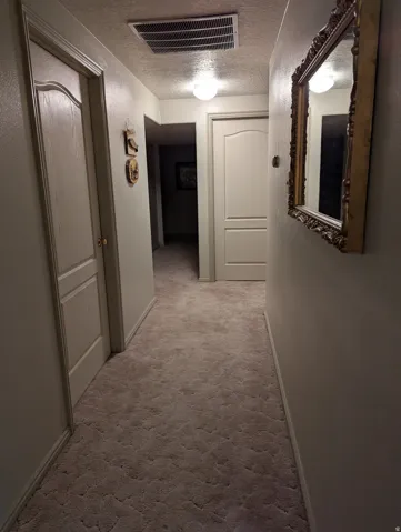 Textured carpet flooring, neutral wall paint, ceiling-mounted light fixtures, white paneled doors