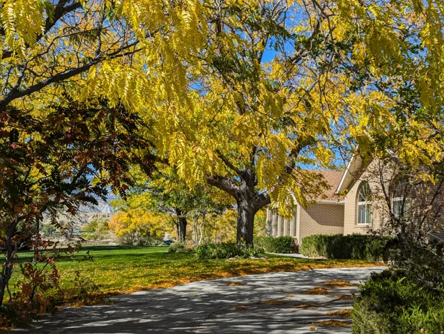 Brick exterior, arched window, paved driveway, mature trees, manicured lawn