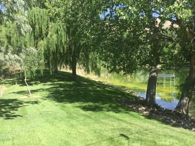 Lush green lawn with mature trees and a tranquil pond, featuring a floating dock