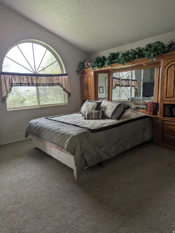 Arch-top window with horizontal blinds, built-in wooden cabinetry with mirrored panels, and wall-to-wall carpeting